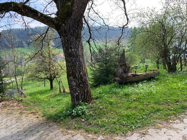 Freistehendes 1½ Zimmer EFH an Traumlage hoch über dem Bodensee 9