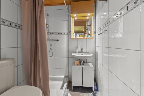 Mehrgenerationenhaus - perfekt für eine grosse Familie 14