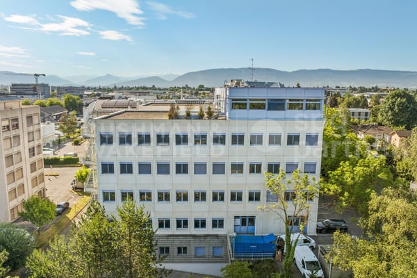 Locaux artisanaux et administratifs prêts à l'emploi à Meyrin - Grand-Puits 42 3