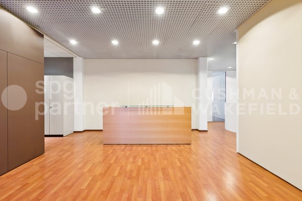 Locaux artisanaux et administratifs prêts à l'emploi à Meyrin - Grand-Puits 42 6
