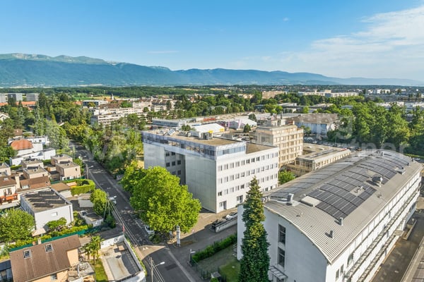 Locaux artisanaux et administratifs prêts à l'emploi à Meyrin - Grand-Puits 42 1