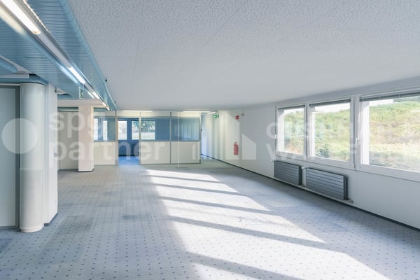 Locaux administratifs et artisanaux lumineux au coeur de la ZIMEYSA - Veyrot 11 2