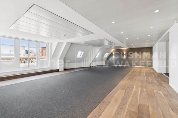 Bureaux premium avec terrasse et vue sur le lac - Passage des Lions 6 8