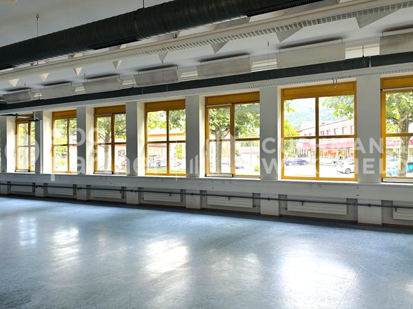 Espaces pour entreprises innovantes au centre du Jura 4