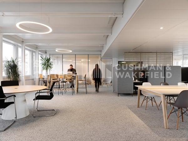 Espaces Plug & Play pour accompagner votre croissance - Ouchy 4-6 5