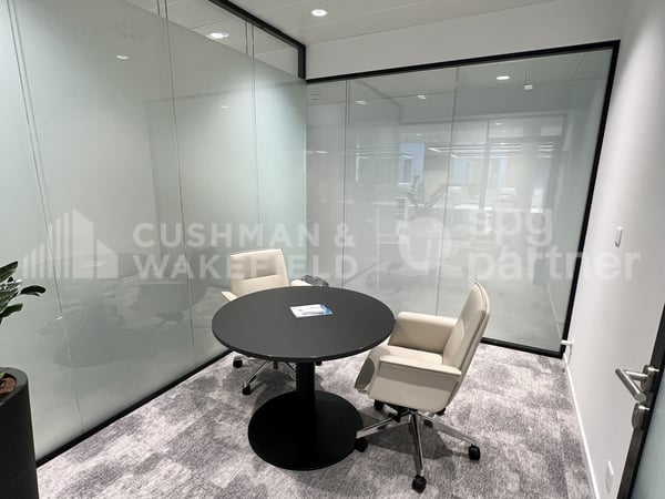Bureaux premium à deux pas du lac - Rhône 8 11
