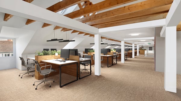 Loft-Atmosphäre über den Dächern von Zürich 1