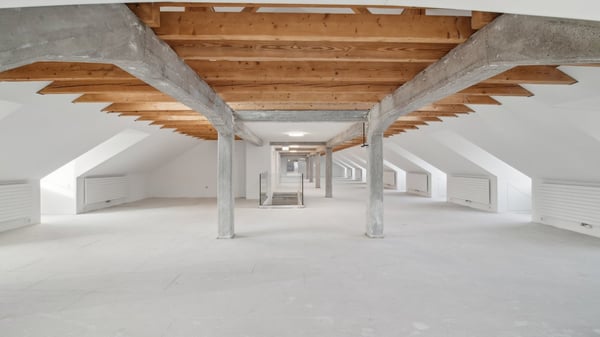 Loft-Atmosphäre über den Dächern von Zürich 4