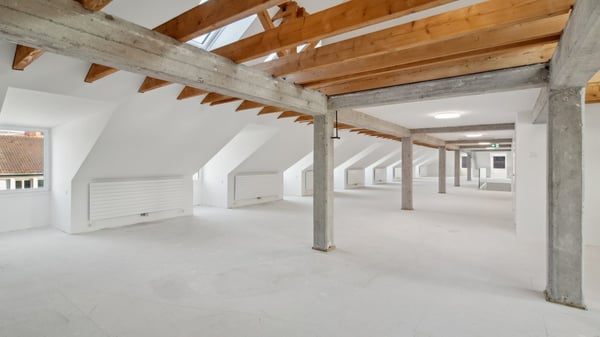 Loft-Atmosphäre über den Dächern von Zürich 5