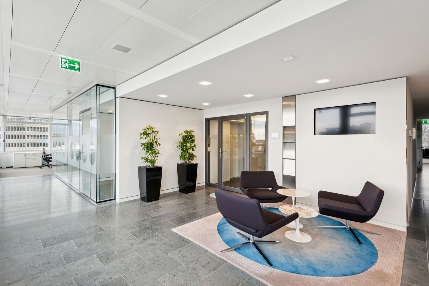 modern office lobby with glass walls, white walls, gray floor, two potted plants, three chairs, round table, carpet
