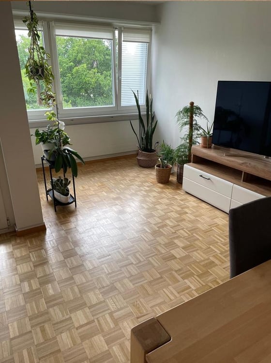 3.5 Zimmerwohnung im Herzen von Schwerzenbach 2