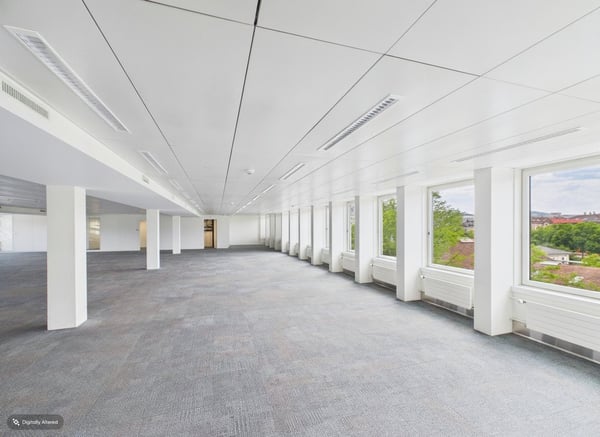 Vollausbau im Top-Floor / Weitblick und viel Tageslicht 14