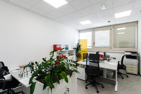 LUGANO NORD-AFFITTASI AMPIO UFFICIO IN POSIZIONE STRATEGICA (rif. 022) 3