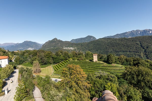 COLLINA D'ORO - ATTICO ARREDATO CON SERVIZI ALBERGHIERI, VISTA PANORAMICA (rif. 701) 18