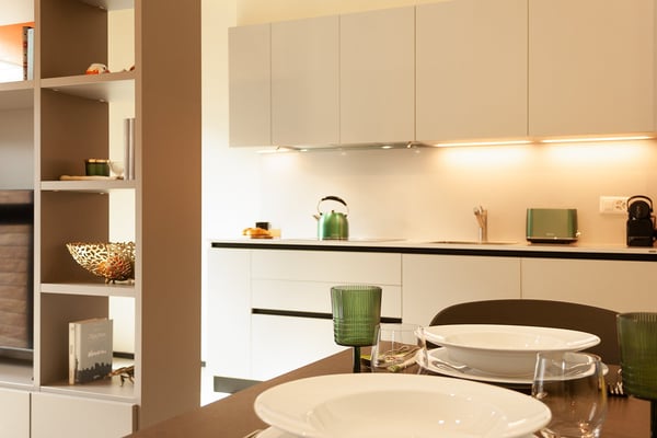 LUGANO CENTRO - AFFITTASI APPARTAMENTO 1.5 ARREDATO 8