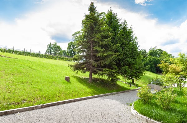 AFFITTASI LUMINOSO APPARTAMENTO DA 2.5 LOCALI IMMERSO NEL VERDE 11