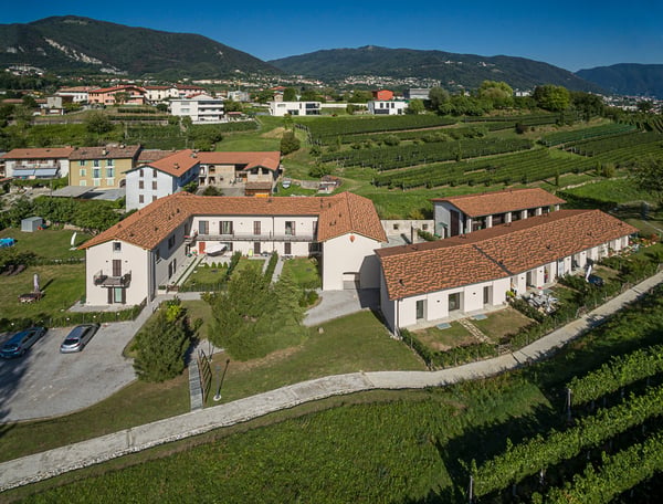 AFFITTASI LUMINOSO APPARTAMENTO DA 2.5 LOCALI IMMERSO NEL VERDE 10
