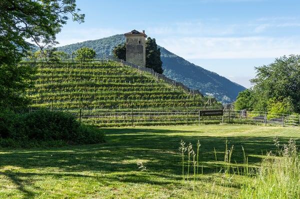 COLLINA D'ORO-AGRA - Lussuoso appartamento di 276 mq con ampia loggia e vista lago (Rif. 303) 26