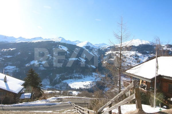 Traumhaftes Bauland in Pany für Ihr Projekt 7