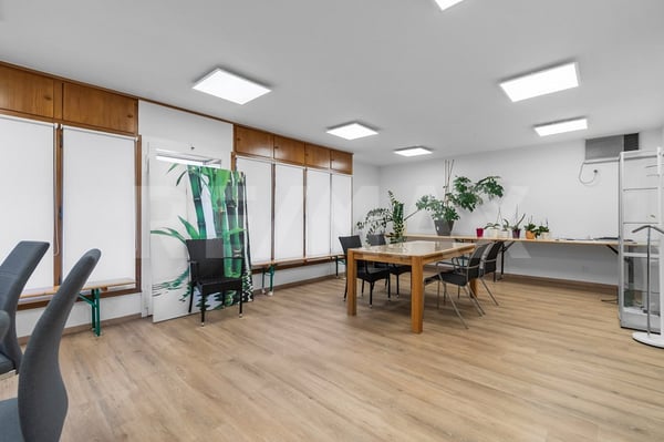 10 ½ Zi.-EFH mit 2 Garagen, Gewerberaum und Autoabstellplätzen 6
