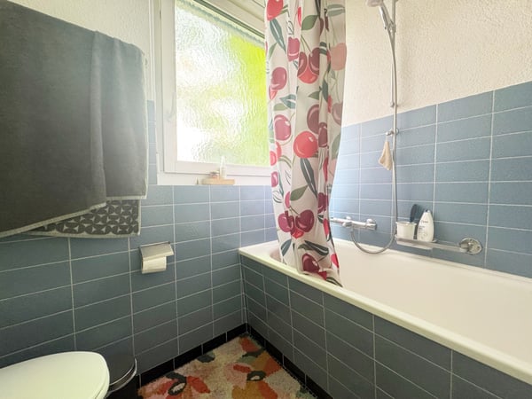 2.5-Zimmer Wohnung im ruhigen Quartier 7