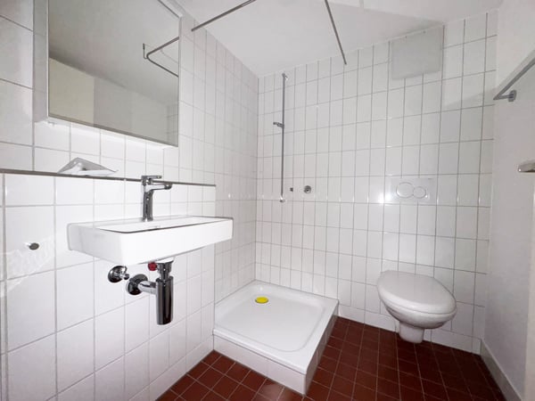 Nicht alltägliche 4.5 Zimmerwohnung / 1. Obergeschoss 8