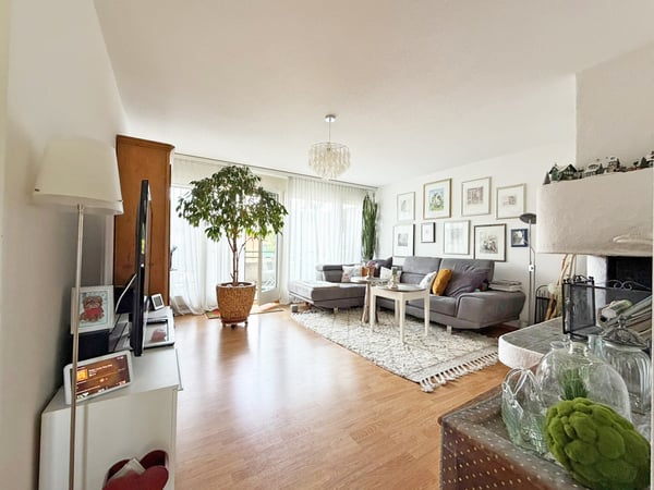 2.5 Zimmer Wohnung mit Cheminée und eigener Waschturm 4