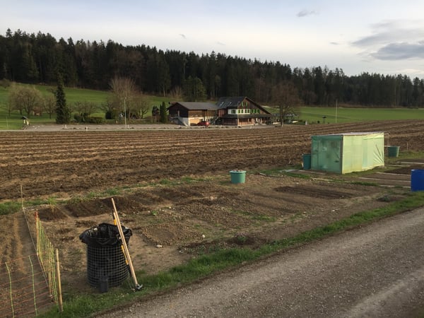 Helle 4-Zimmer-Wohnung mit Balkon in ruhiger Lage – Wiesendangen 15