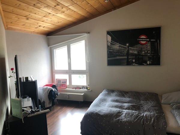 Dachwohnung mit Terrasse & Wintergarten 9