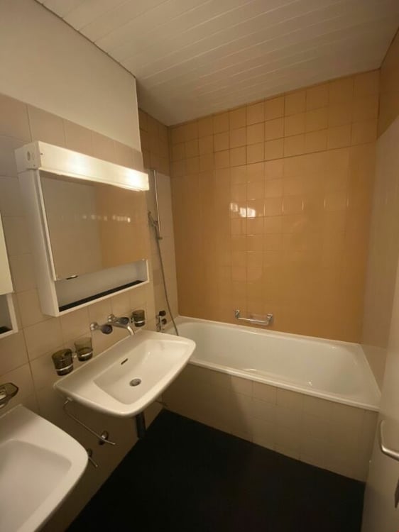 Grosszügig & hell, Nähe Birsköpfli / Rhein 2