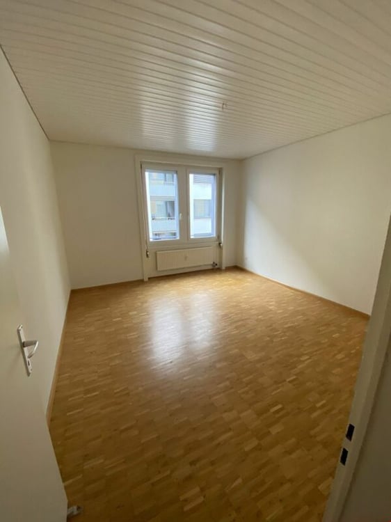 Grosszügig & hell, Nähe Birsköpfli / Rhein 3