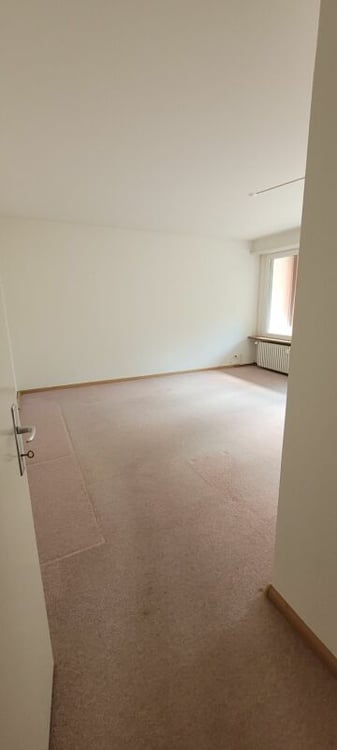 teilsanierte 3.5-Zimmer-Wohnung mit Einstellplatz an ruhiger Lage 9