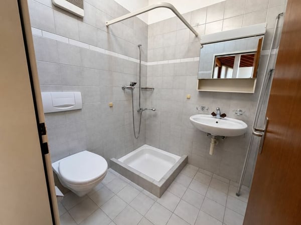 grosse 3-Zimmer-Dachwohnung mit eigenem Waschturm 3