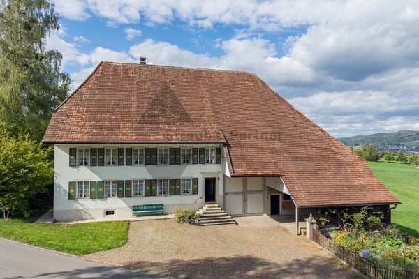 GESCHICHTSTRÄCHTIGES BAUERNHAUS 1