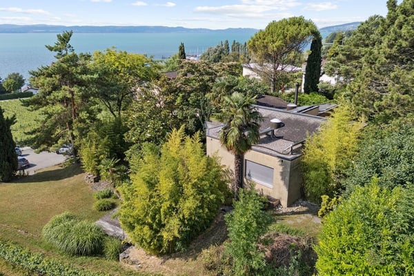 Lieu insaisissable, jardin libre, ici la nature reprend ses droits 11