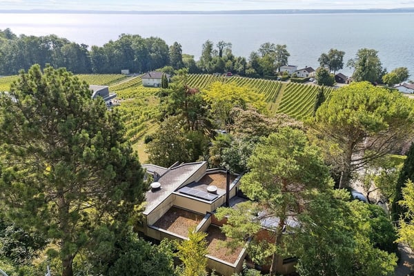 Lieu insaisissable, jardin libre, ici la nature reprend ses droits 12