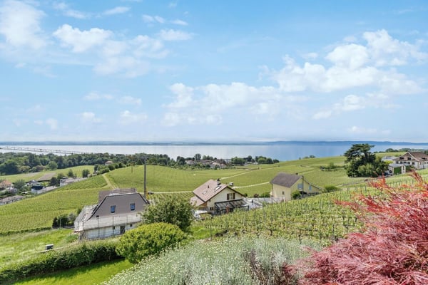 Un art de vivre exclusif vous attend 1