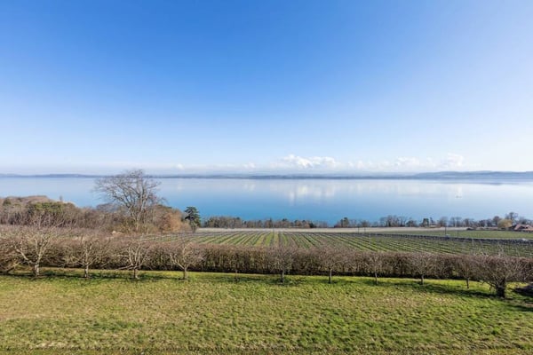 Villa contemporaine d'exception face au bleu du lac 6