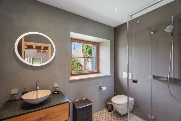 Sublime ferme entièrement rénovée composée de 2 appartements 10