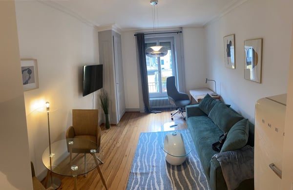 Tastefully furnished & fully renovated Apartment in a Historic Building 3