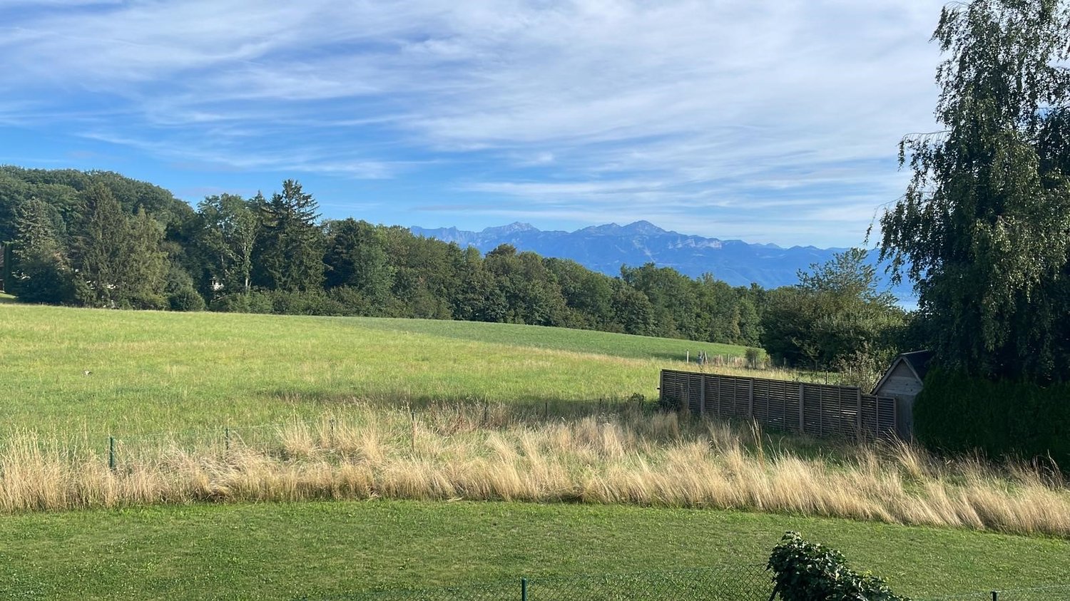 open field with high grass, wooden fence, mountain range in the distance