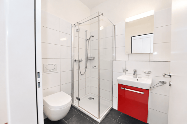 50% rent reduction for mid-Sep until Oct - Bright 2.5-Room Apartment with Balcony in Wallisellen 6