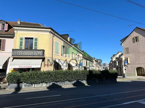 EXCLUSIF ET RARE : PETIT IMMEUBLE MIXTE DANS LE VIEUX CAROUGE 3