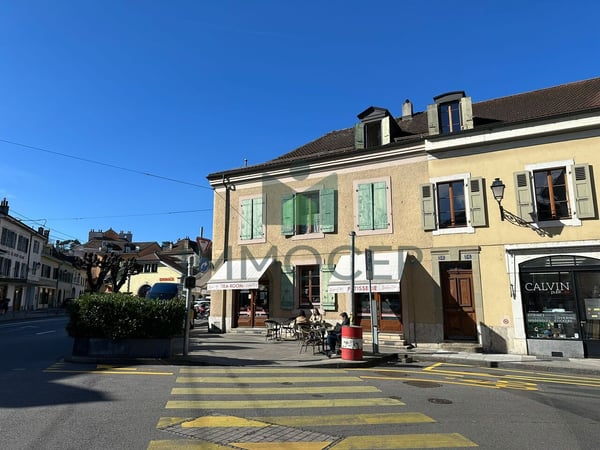 EXCLUSIF ET RARE : PETIT IMMEUBLE MIXTE DANS LE VIEUX CAROUGE 5