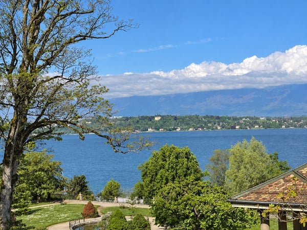 Propriété d'exception avec vue lac panoramique 15
