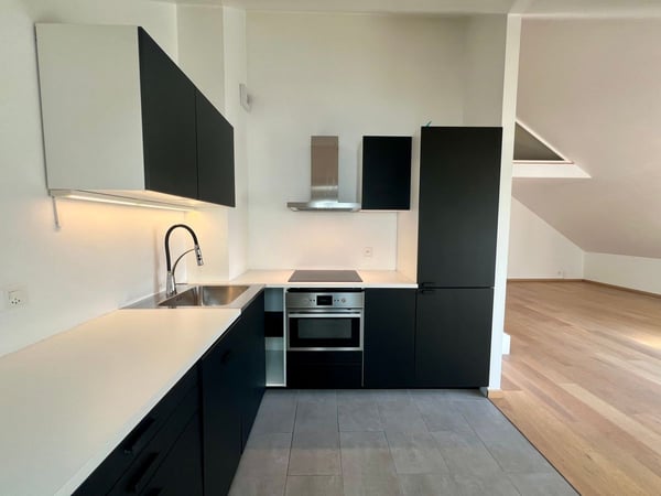 Magnifique attique avec vue sur le Salève ! 3