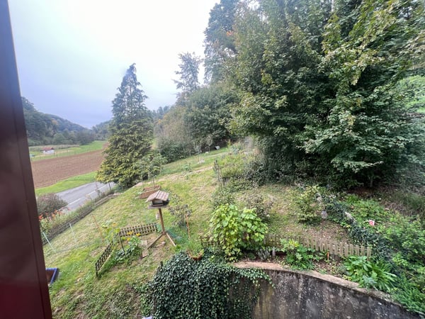 Immeuble de rendement avec 3 appartements et surface verte de 1'400m2 11