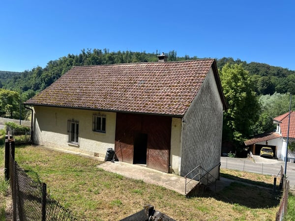 Charmante maison villageoise rénovée avec goût et en bordure de forêt 10