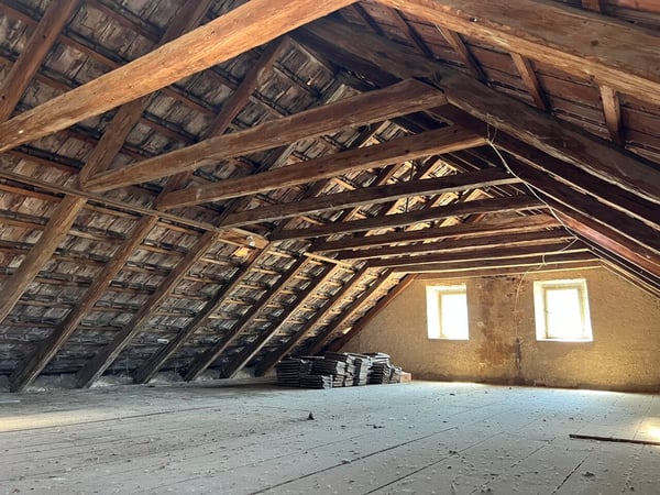 Charmante maison villageoise rénovée avec goût et en bordure de forêt 8