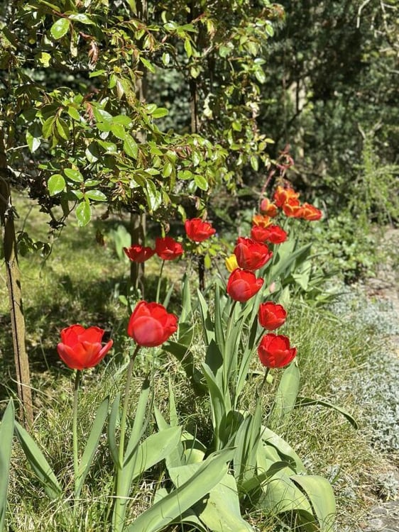 Appartement dans charmante Villa individuelle 6